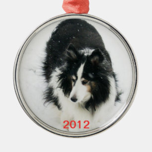 Tri Sheltie in Snow Template Metal Ornament