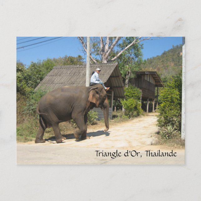 Triangle d'Or, Thailande Postcard (Front)