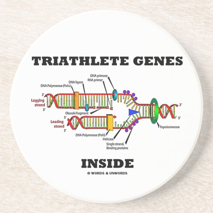 Triathlete Genes Inside (DNA Replication) Beverage Coaster