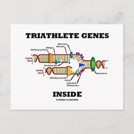 Triathlete Genes Inside (DNA Replication) Postcard