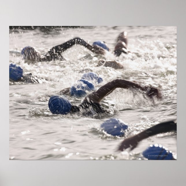 Triathletes competing in swim leg of triathlon. poster (Front)