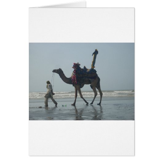 Tribal Camel Ride: Morning Tide Sands & Sea (Front)