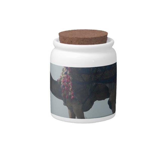 Tribal Camel Ride: Morning Tide Sands & Sea Candy Jar (Front)