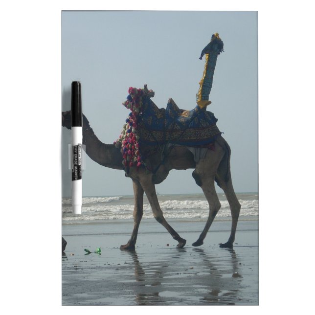 Tribal Camel Ride: Morning Tide Sands & Sea Dry Erase Board (Front)