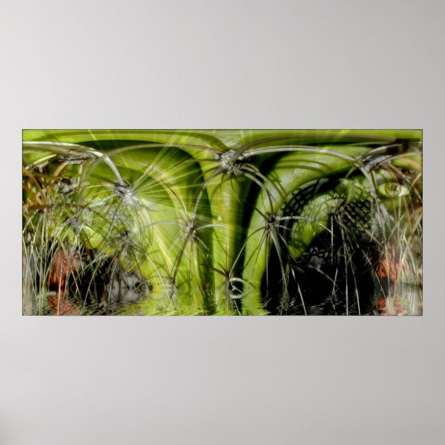 Tribal Medicine Poster (Front)