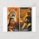 Tribe Of Judah Postcard at Zazzle