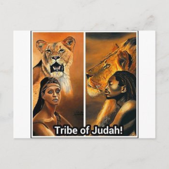 Tribe Of Judah Postcard by bigplay4u at Zazzle