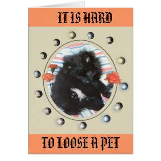 TRIBUTE TO MY MINDY CARDS