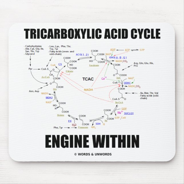 Tricarboxylic Acid Cycle Engine Within Krebs Cycle Mouse Pad (Front)