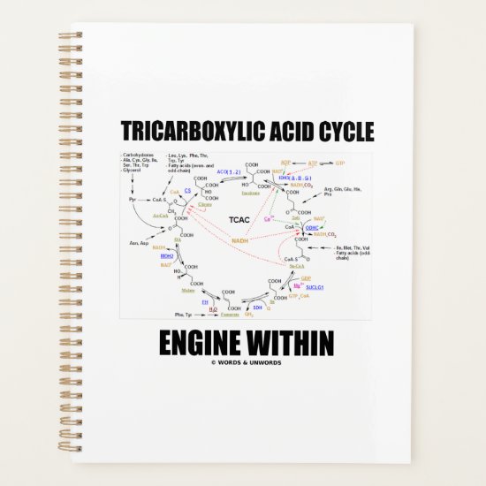 Tricarboxylic Acid Cycle Engine Within Krebs Cycle Planner