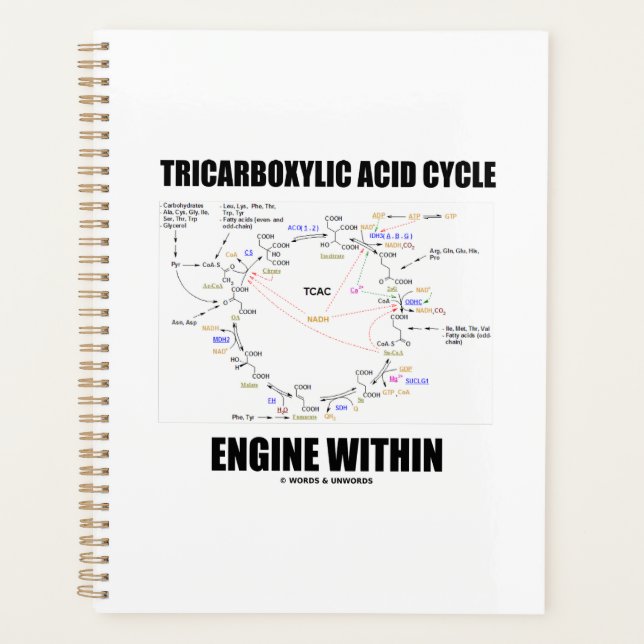 Tricarboxylic Acid Cycle Engine Within Krebs Cycle Planner (Front)