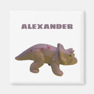 Triceratops And Your Name Toy Dinosaur Magnet