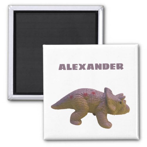 Triceratops And Your Name Toy Dinosaur Magnet