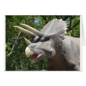 Triceratops dinosaur (Front Horizontal)
