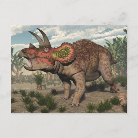 Triceratops Dinosaur - 3d Render Postcard