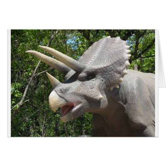 Triceratops dinosaur cards (Front Horizontal)