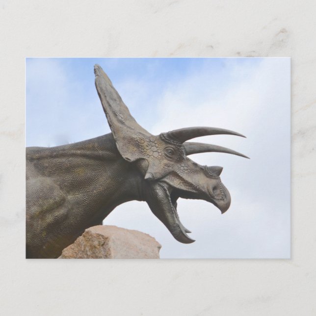 Triceratops Dinosaur Postcard (Front)