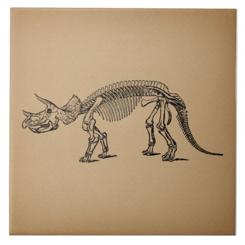 Triceratops Dinosaur Skeleton Prehistoric Art Ceramic Tile