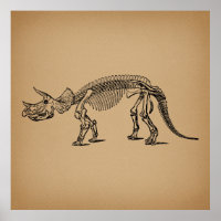 Triceratops Dinosaur Skeleton Prehistoric Art