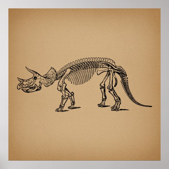 Triceratops Dinosaur Skeleton Prehistoric Art Poster (Front)