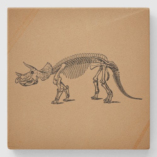 Triceratops Dinosaur Skeleton Prehistoric Art Stone Coaster