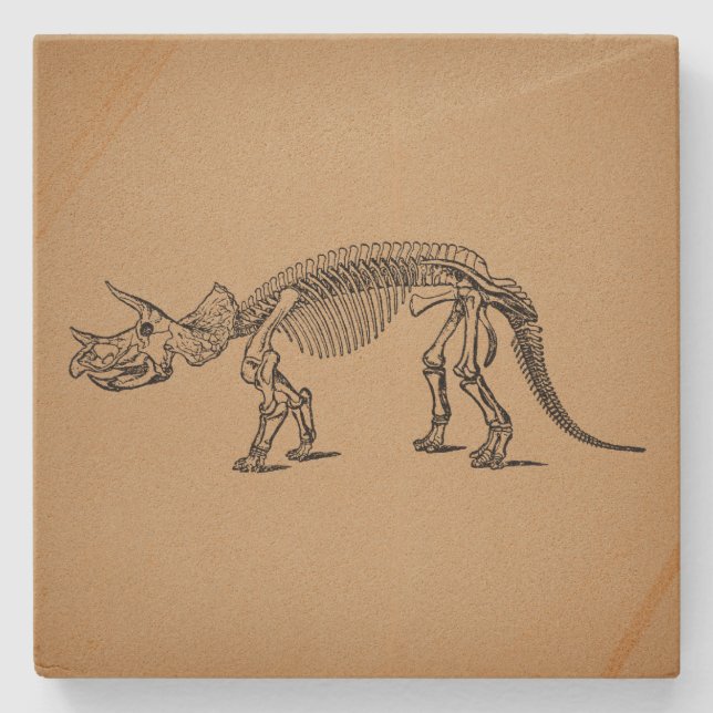 Triceratops Dinosaur Skeleton Prehistoric Art Stone Coaster (Front)