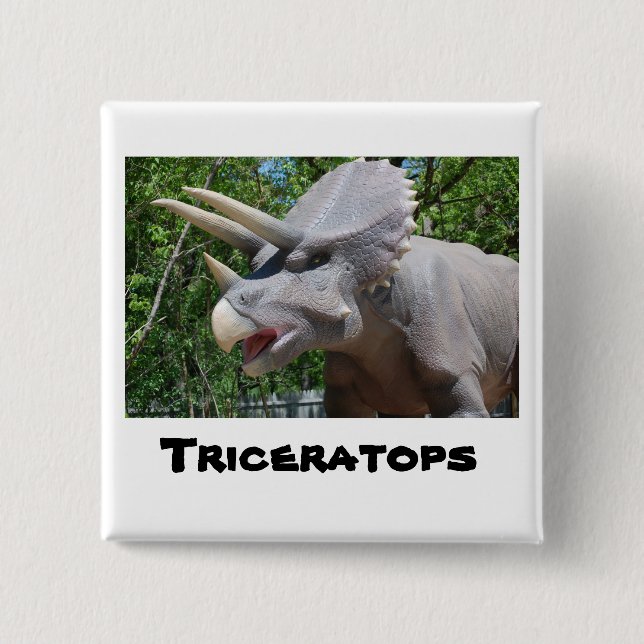 Triceratops Dinosaurs Button (Front)