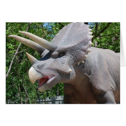 Triceratops Dinosaurs Cards (Front Horizontal)