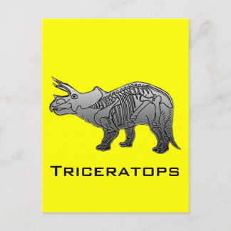 Triceratops Postcard