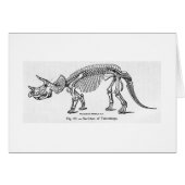 Triceratops skeleton art card (Front Horizontal)
