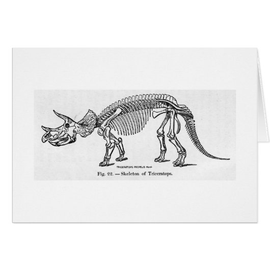 Triceratops skeleton art card (Front Horizontal)