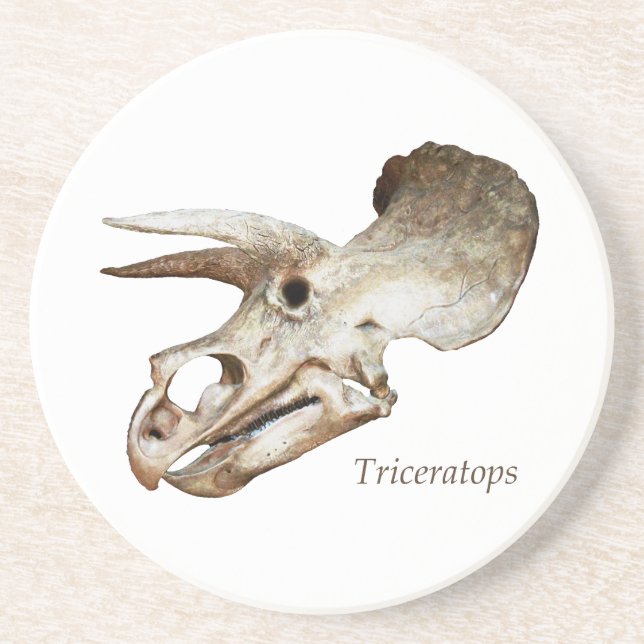Triceratops Skull Coaster (Front)