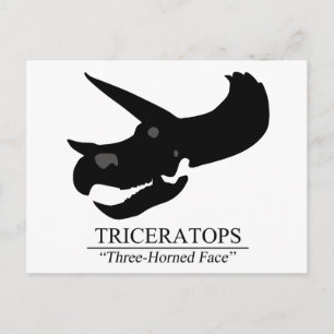 Triceratops Skull Postcard