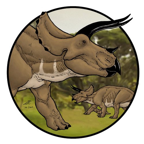 Triceratops T_Shirt