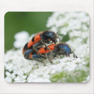 Trichodes apiarius mouse pad