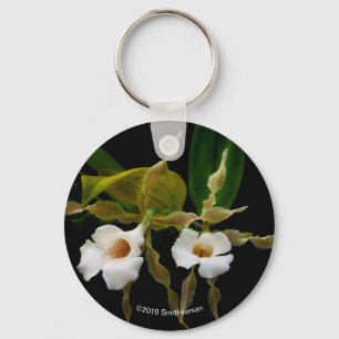 Trichopilia Tortilis Keychain