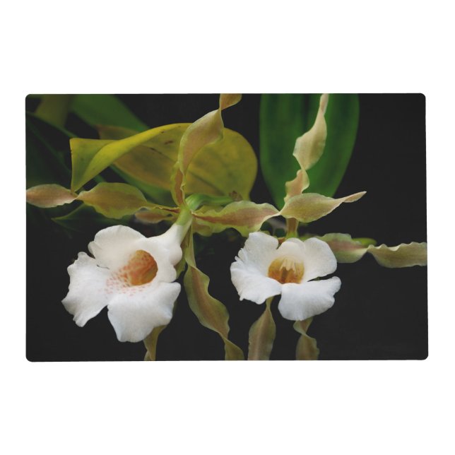 Trichopilia Tortilis Placemat (Front)