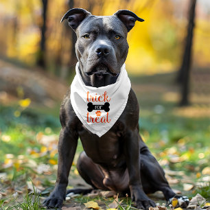 Trick for Treat Halloween Gift Pet Bandana Collar