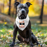 Trick for Treat Halloween Pet Bandana Collar