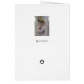 Trick Or Treat? (Back)