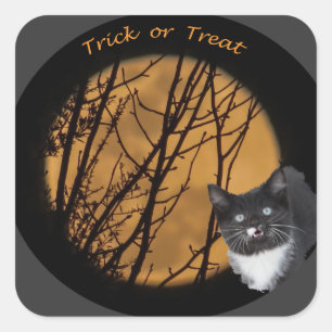 Trick or treat black cat & moon Halloween Square Sticker