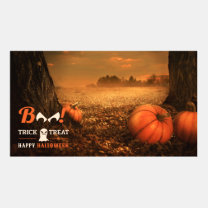 Trick or Treat Boo Pumpkins Happy Halloween 
