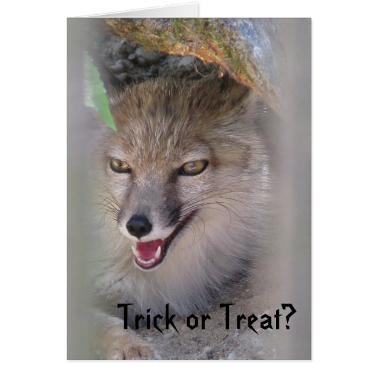 Trick Or Treat? Cards (Front)