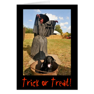 Trick or Treat! (Derek)