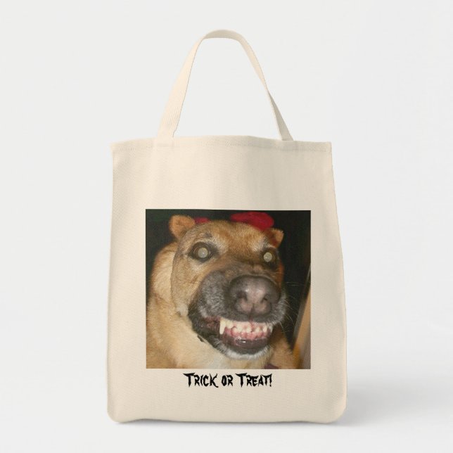 Trick or Treat Dog! Tote Bag (Front)
