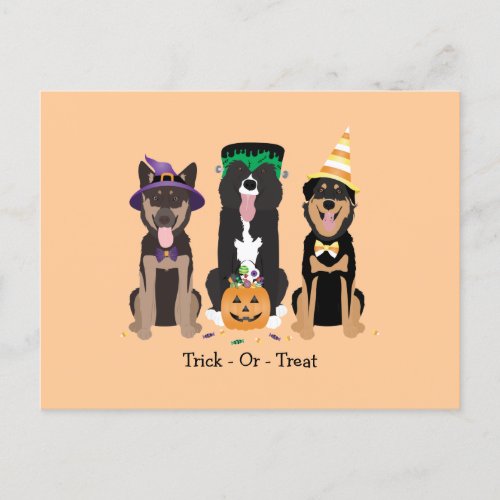 Trick Or Treat Dogs In Halloween Costumes Postcard