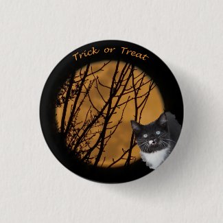 Trick or treat Halloween black cat & moon 