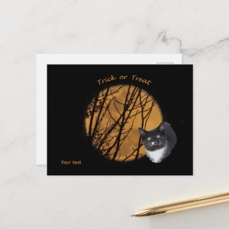 Trick or treat Halloween black cat & moon 