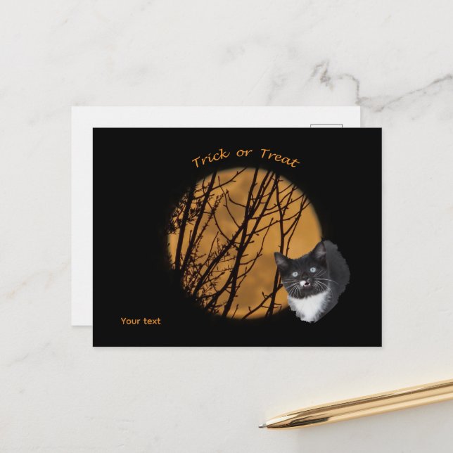 Trick or treat Halloween black cat & moon  Postcard (Front/Back In Situ)
