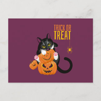 Trick or Treat halloween Cat fun Postcard